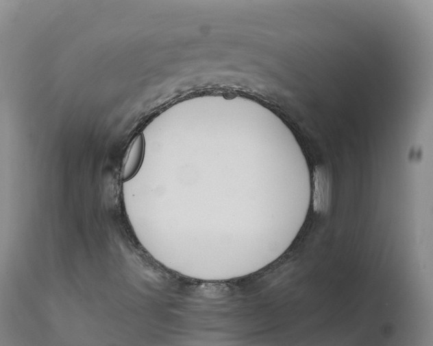 X0000111831491200908131534