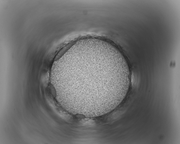 X0000111831492200908131534