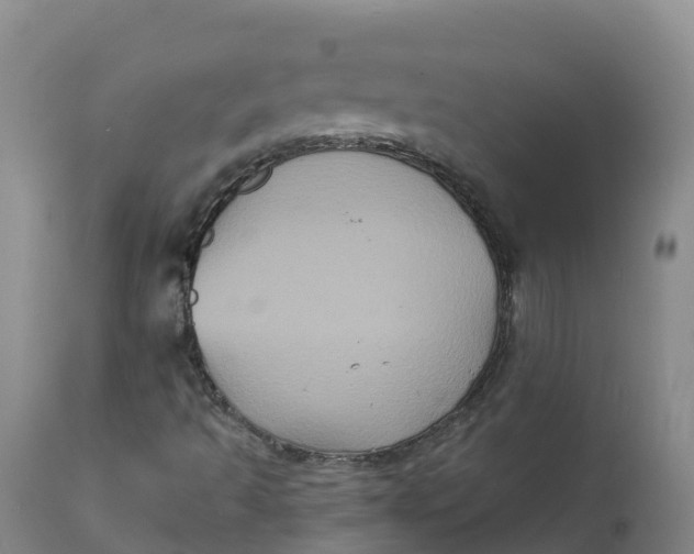 X0000111831493200908131534