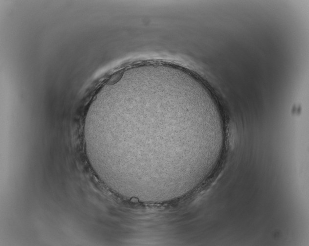 X0000111831494200908131534