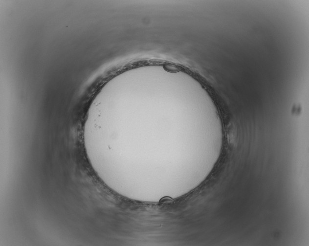 X0000111831495200908131534