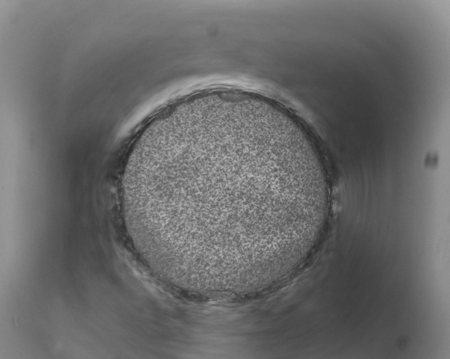 X0000111831496200908131534