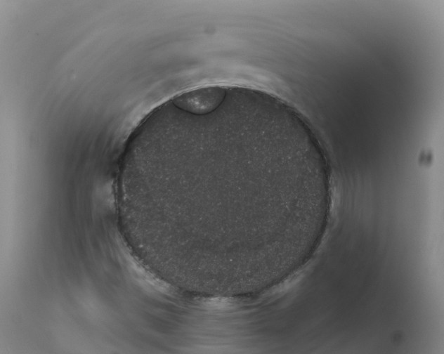 X0000111831497200908131534