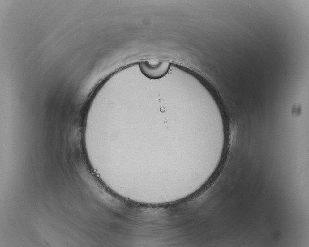 X0000111831498200908131534