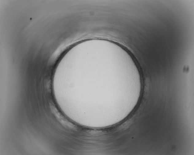 X0000111831499200908131534