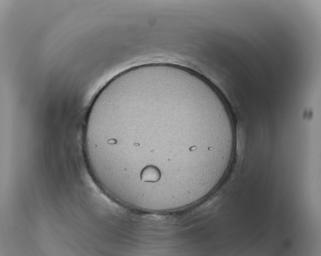 X0000111831500200908131534