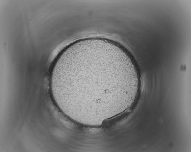 X0000111831501200908131534