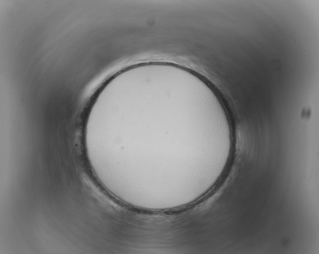 X0000111831502200908131534