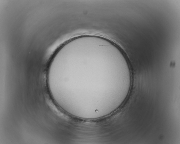 X0000111831503200908131534