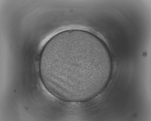 X0000111831504200908131534