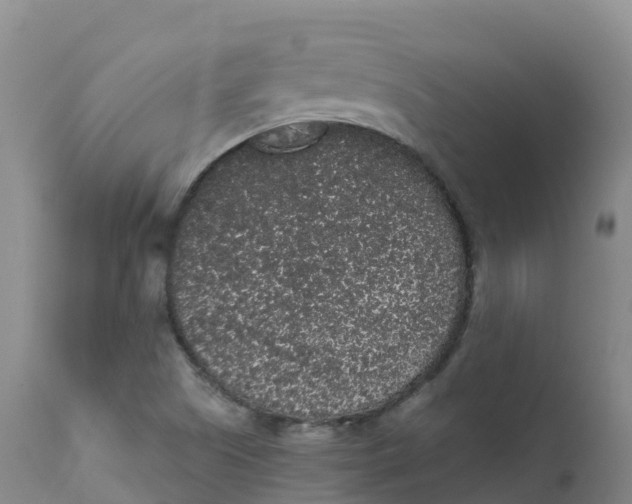 X0000111831505200908131534