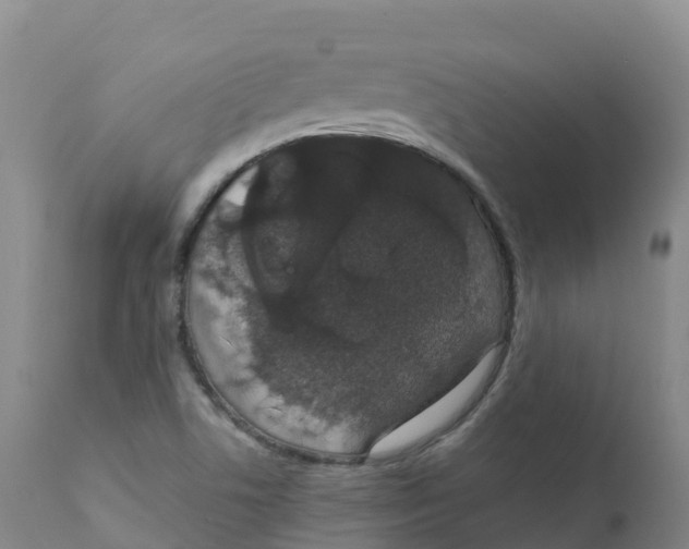 X0000111831506200908131534