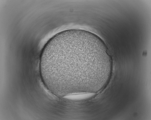 X0000111831507200908131534