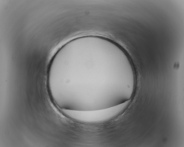 X0000111831508200908131534