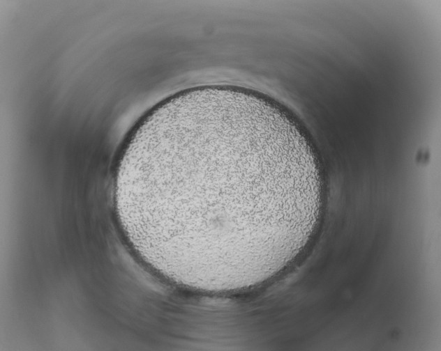 X0000111831509200908131534