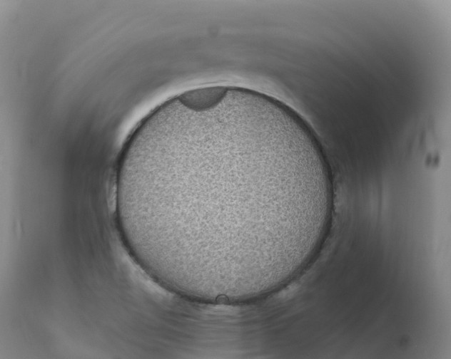 X0000111831510200908131534