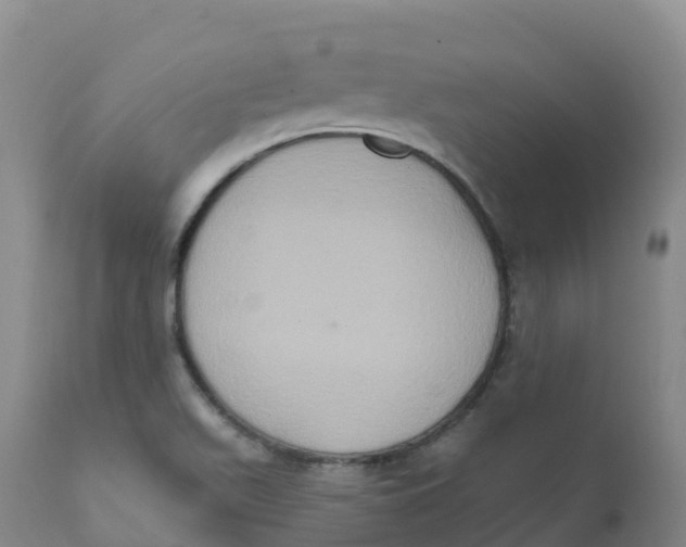 X0000111831511200908131534