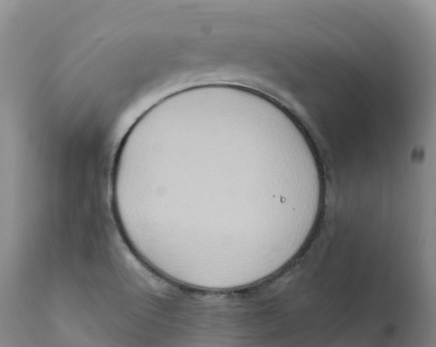 X0000111831512200908131534