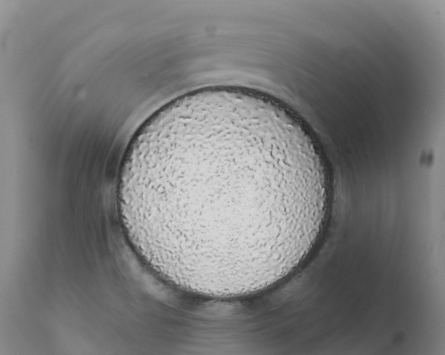 X0000111831513200908131534