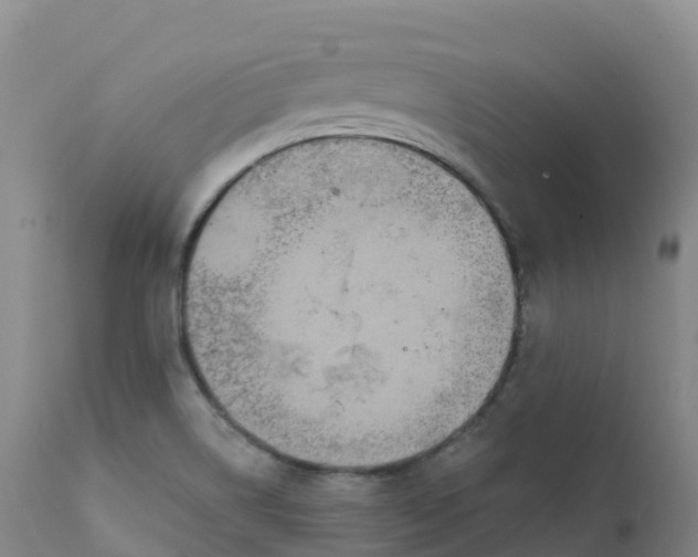 X0000111831514200908131534