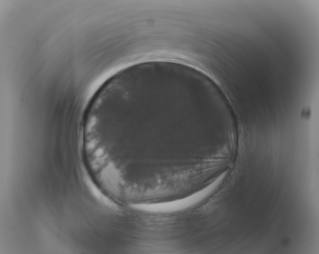 X0000111831515200908131534