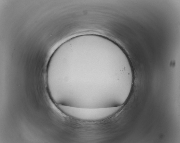 X0000111831516200908131534