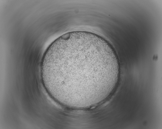 X0000111831517200908131534