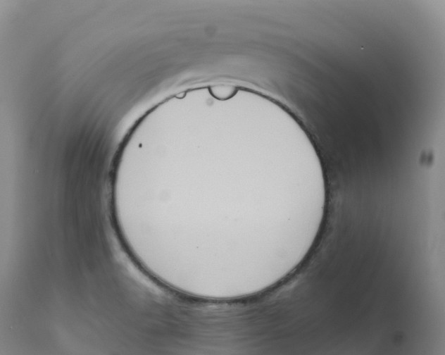 X0000111831518200908131534