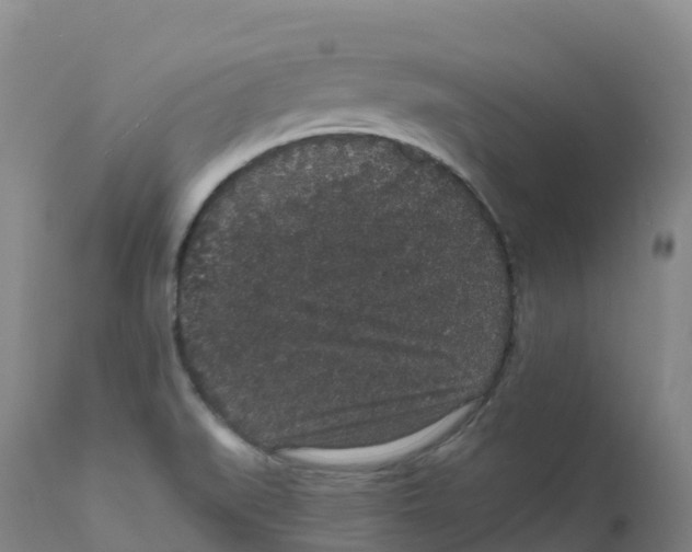 X0000111831519200908131534