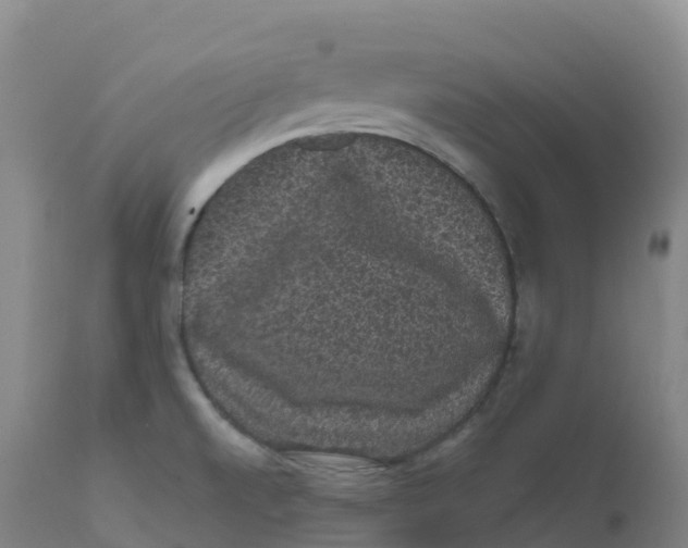 X0000111831520200908131534