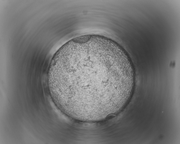 X0000111831521200908131534