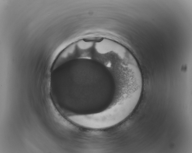 X0000111831522200908131534