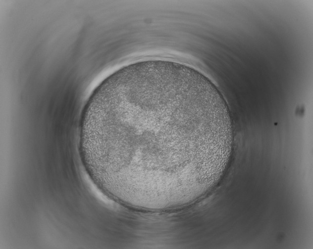 X0000111831523200908131534