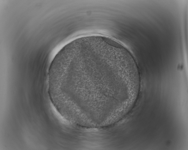 X0000111831524200908131534