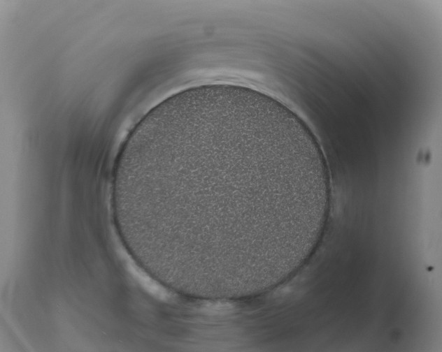 X0000111831525200908131534