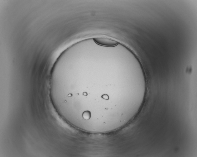 X0000111831526200908131534