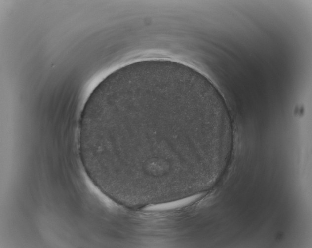 X0000111831527200908131534