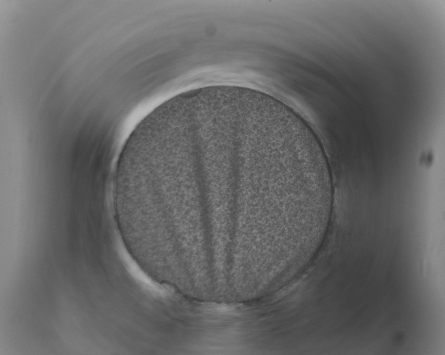 X0000111831528200908131534