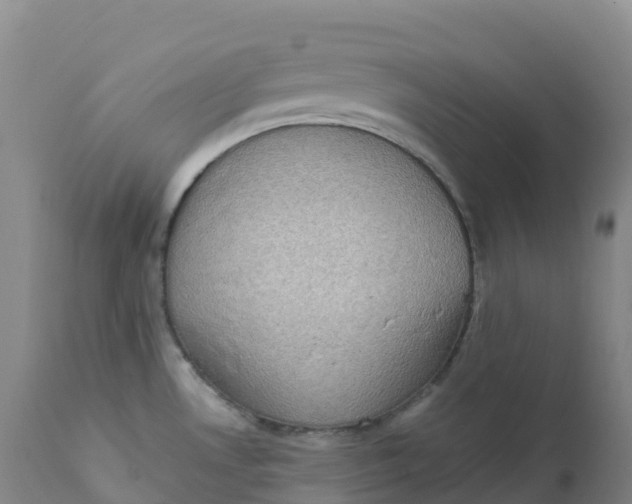 X0000111831530200908131534