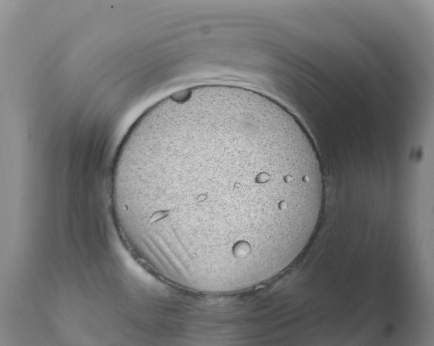 X0000111831531200908131534