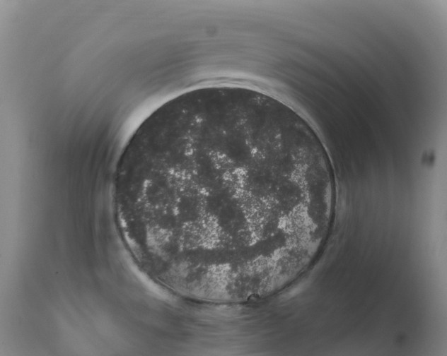 X0000111831533200908131534