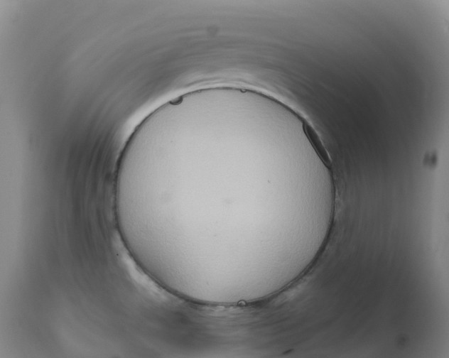 X0000111831534200908131534