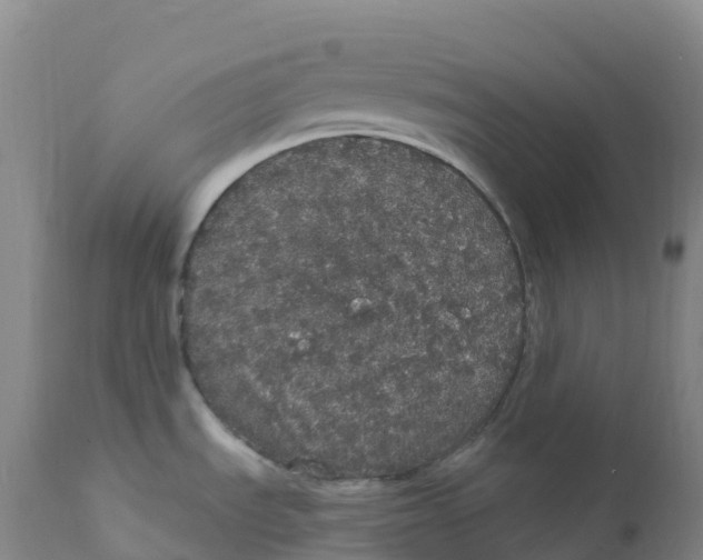 X0000111831535200908131534