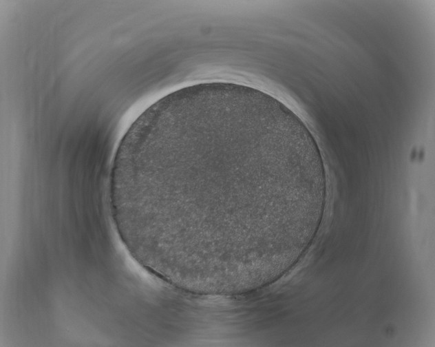 X0000111831536200908131534