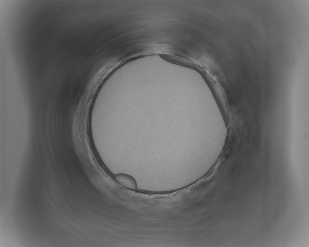 X0000111830001200908201201
