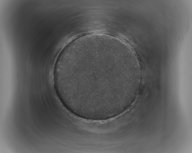 X0000111830002200908201201