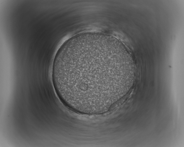 X0000111830003200908201201