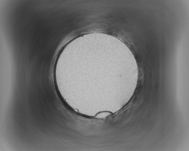 X0000111830004200908201201