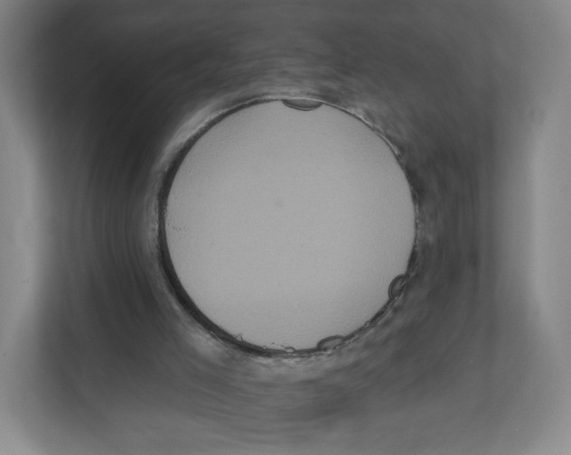 X0000111830005200908201201