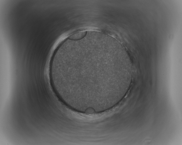 X0000111830006200908201201